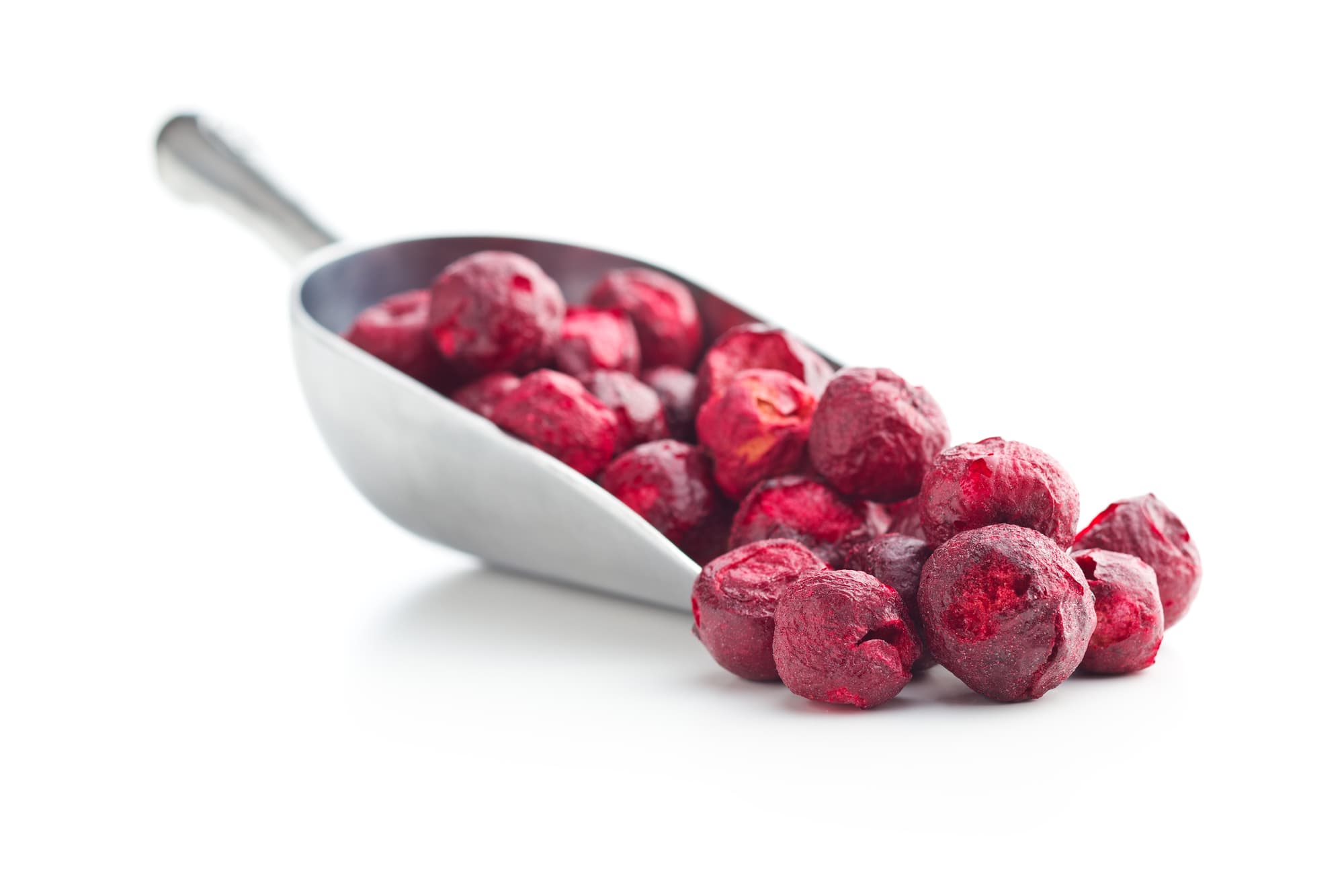 private label freeze dried food